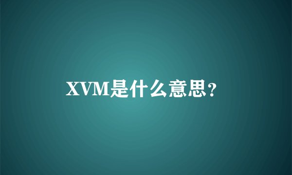 XVM是什么意思？
