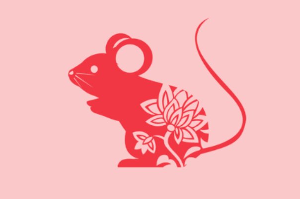 徒唤奈何打一动物生肖