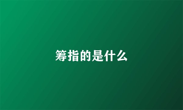 筹指的是什么