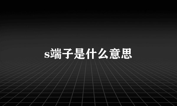 s端子是什么意思