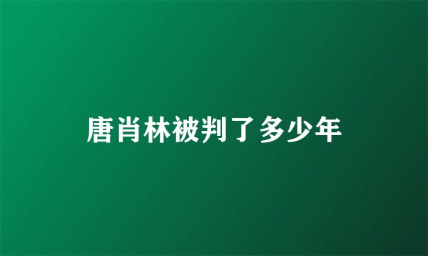 唐肖林被判了多少年