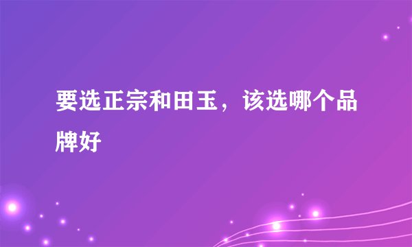 要选正宗和田玉，该选哪个品牌好