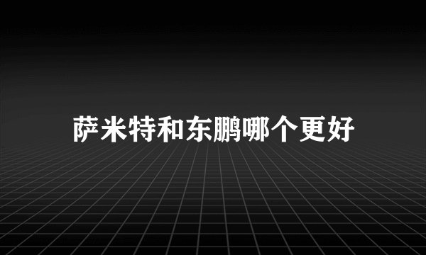 萨米特和东鹏哪个更好