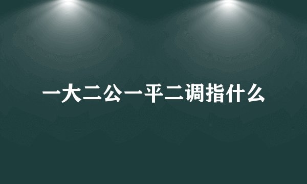 一大二公一平二调指什么