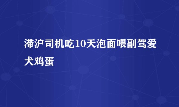 滞沪司机吃10天泡面喂副驾爱犬鸡蛋
