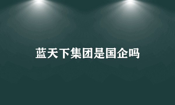 蓝天下集团是国企吗