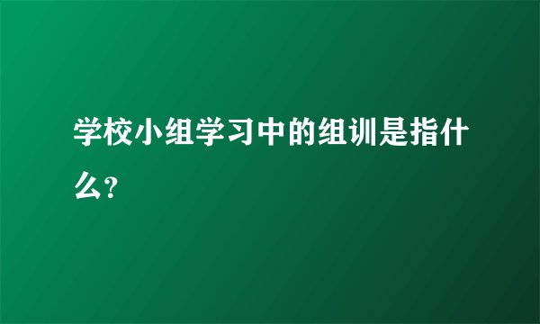 学校小组学习中的组训是指什么?