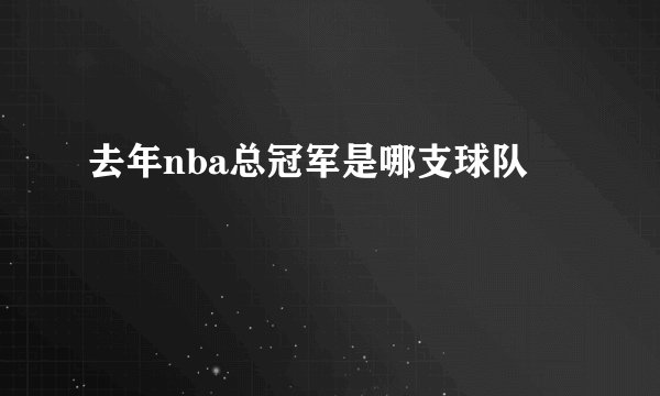 去年nba总冠军是哪支球队
