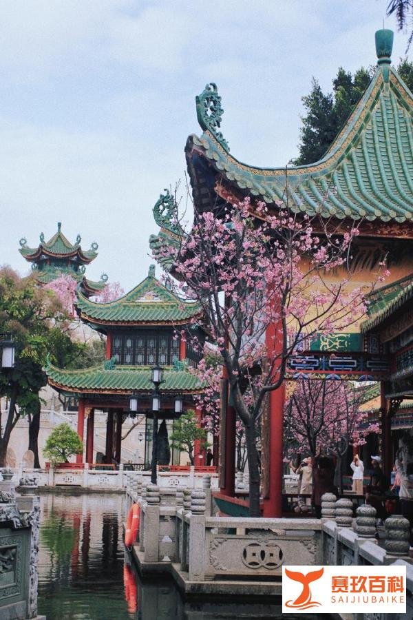 别挤宝墨园了,隔壁的南粤苑更好拍