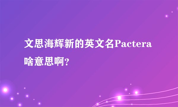 文思海辉新的英文名Pactera啥意思啊?