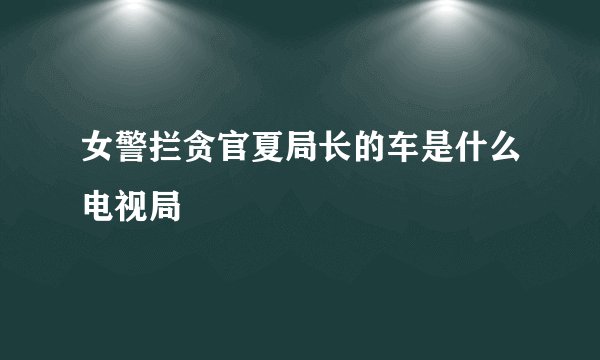 女警拦贪官夏局长的车是什么电视局