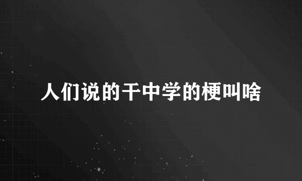 人们说的干中学的梗叫啥