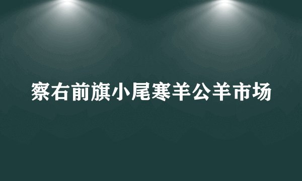 察右前旗小尾寒羊公羊市场