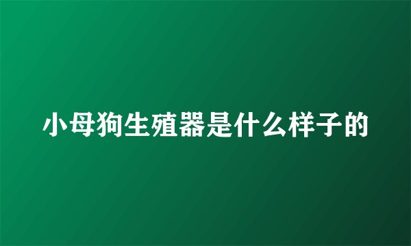 小母狗生殖器是什么样子的