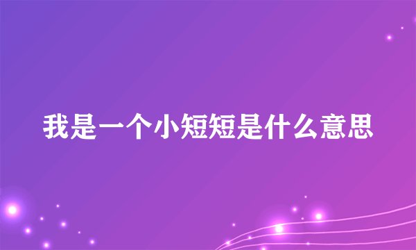 我是一个小短短是什么意思