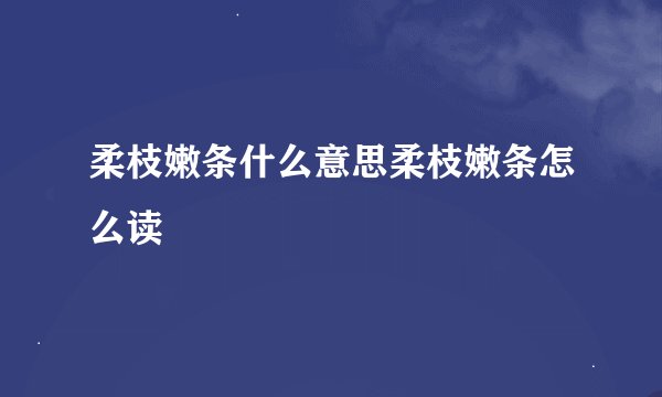柔枝嫩条什么意思柔枝嫩条怎么读