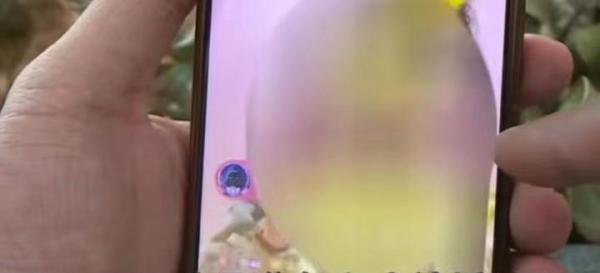 广西女子半年交往8个男友,只闪婚不恋爱,共骗得彩礼90余万
