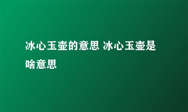 冰心玉壶的意思 冰心玉壶是啥意思