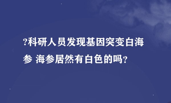 ?科研人员发现基因突变白海参 海参居然有白色的吗?