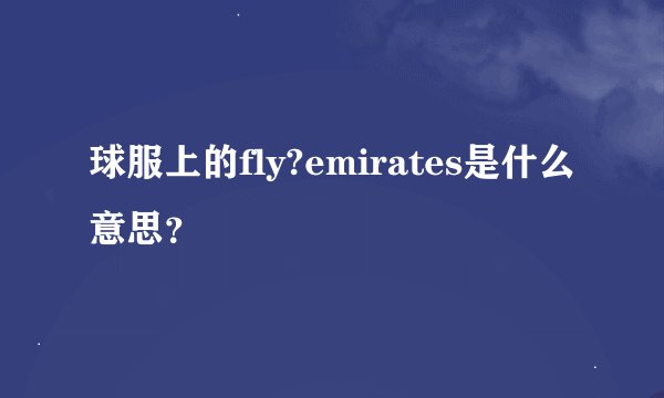 球服上的fly?emirates是什么意思？