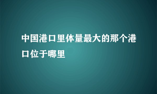 中国港口里体量最大的那个港口位于哪里
