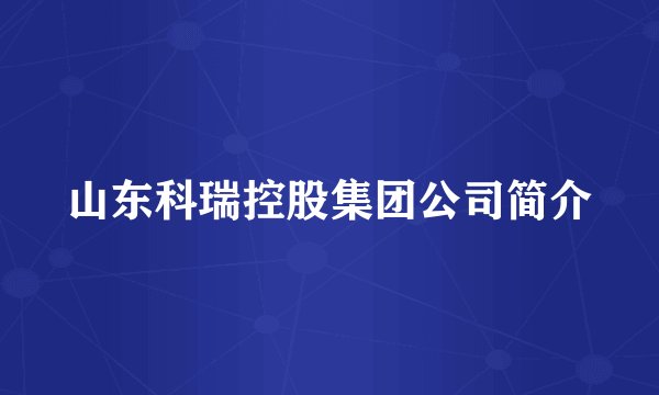 山东科瑞控股集团公司简介