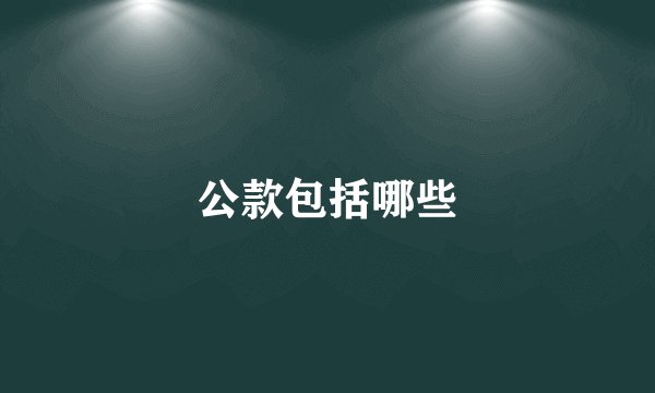 公款包括哪些