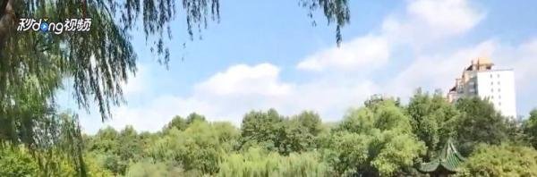 上海长风海洋世界游览攻略