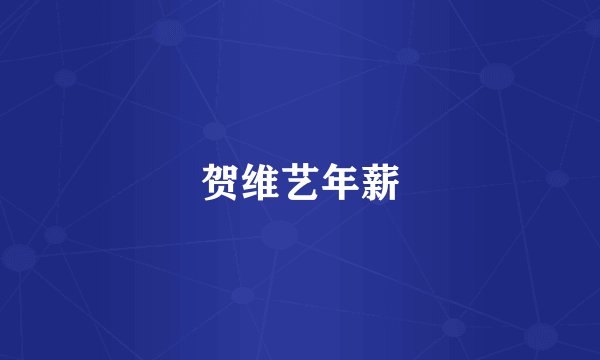 贺维艺年薪