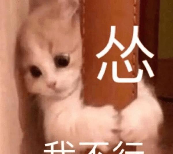 俄罗斯与乌克兰的来龙去脉