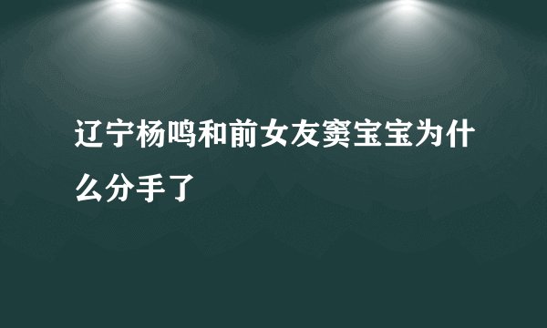 辽宁杨鸣和前女友窦宝宝为什么分手了