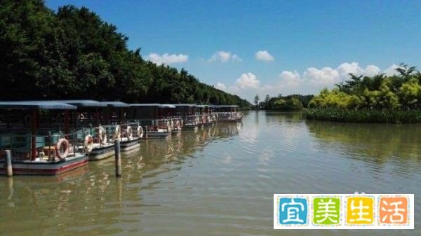 南沙湿地公园广州旅游攻略