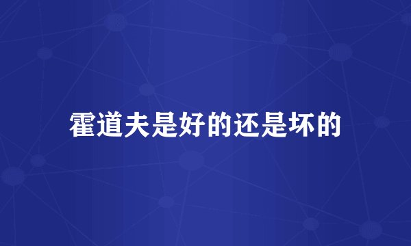 霍道夫是好的还是坏的