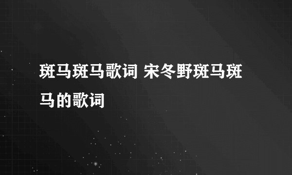 斑马斑马歌词 宋冬野斑马斑马的歌词