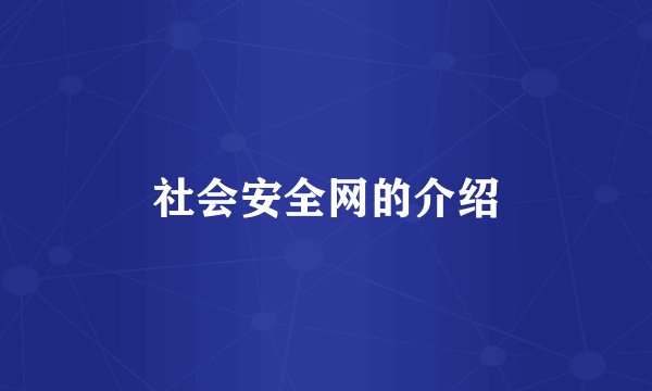 社会安全网的介绍