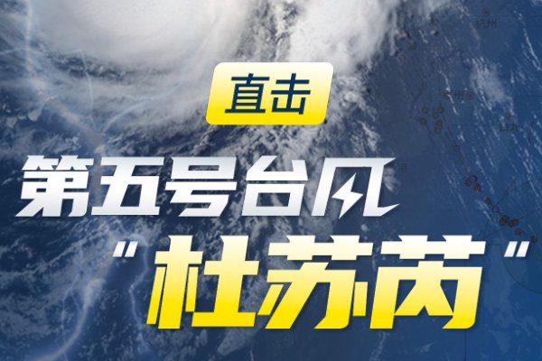 杜苏芮为什么叫杜苏芮