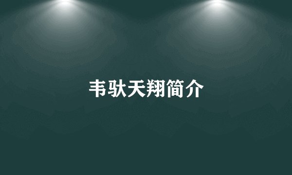 韦驮天翔简介