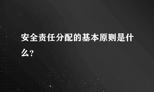 安全责任分配的基本原则是什么？