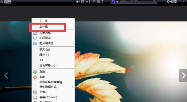 如何使用可牛看图的上一张功能？