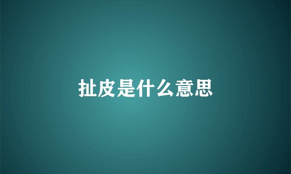 扯皮是什么意思