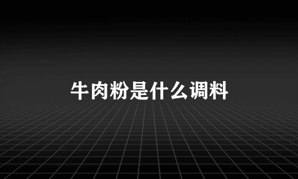 牛肉粉是什么调料