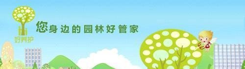 那些一言不合就“变色”的花