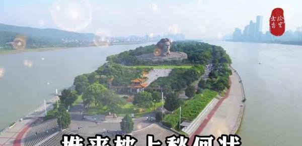 毛主席诗词：《虞美人·枕上》