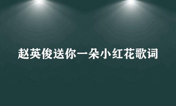 赵英俊送你一朵小红花歌词