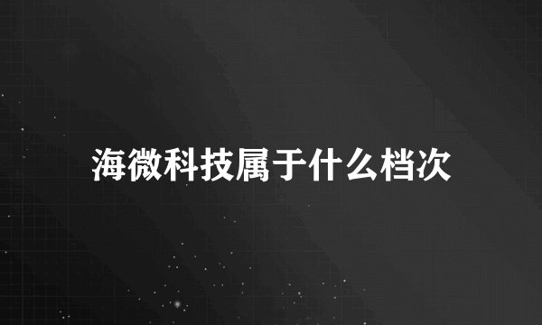 海微科技属于什么档次