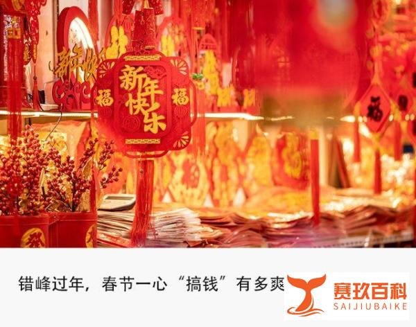 年轻人春节搞钱：上门做饭8天顶1个月工资，代喂宠物半月赚2万