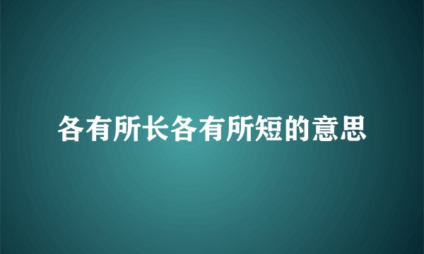 各有所长各有所短的意思