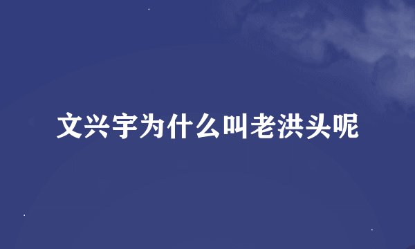 文兴宇为什么叫老洪头呢