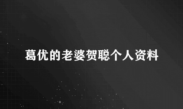 葛优的老婆贺聪个人资料