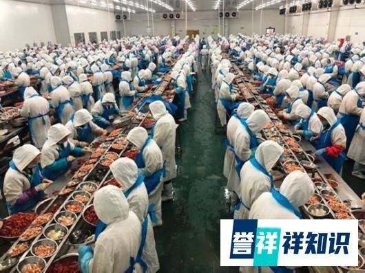 小龙虾价格最近暴跌的原因是什么?网友:是不是因为寄生虫太多了